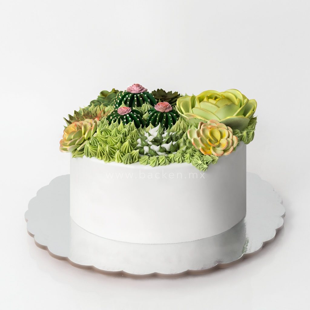 Celebra con un pastel de Suculentas en Guadalajara