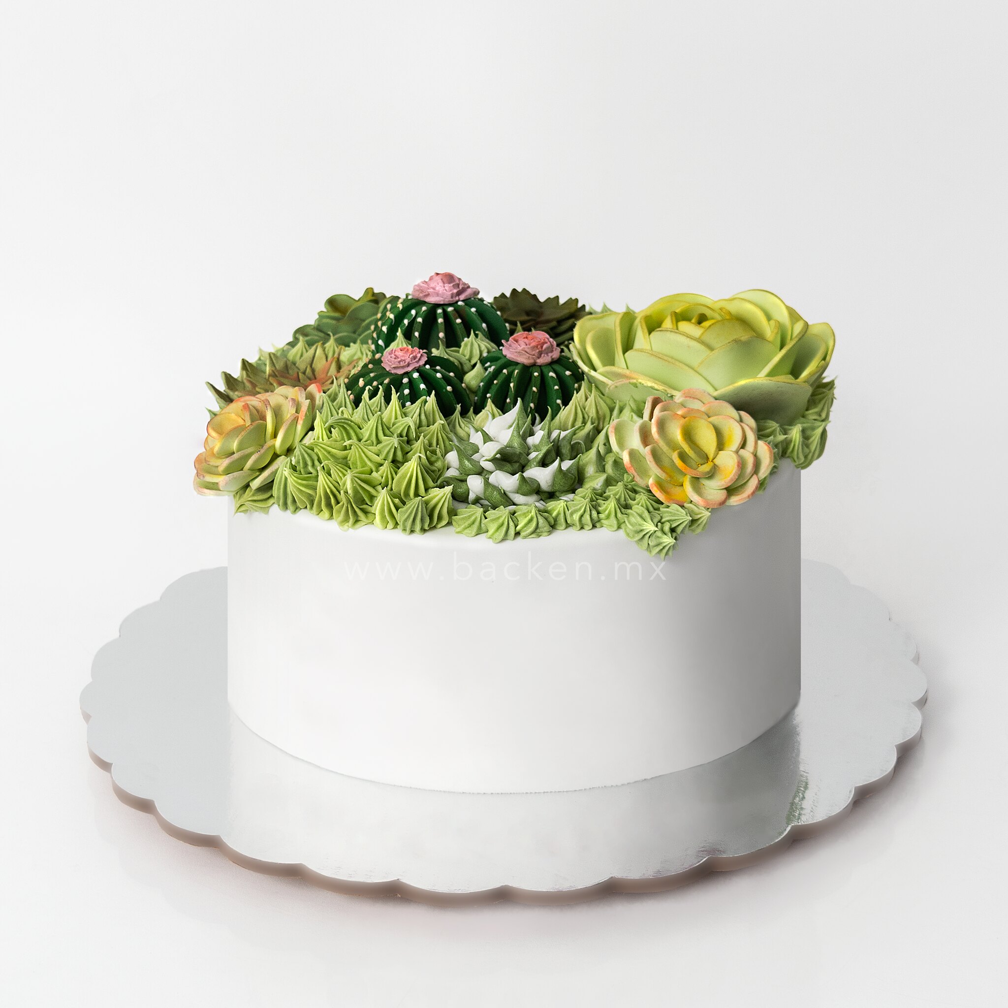 Celebra con un pastel de Suculentas en Guadalajara